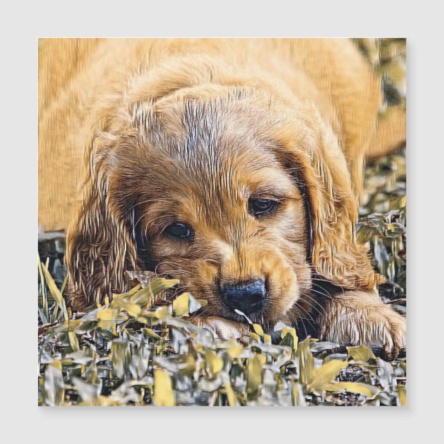 Animalisk blandning_Hund_005 (Framsida)