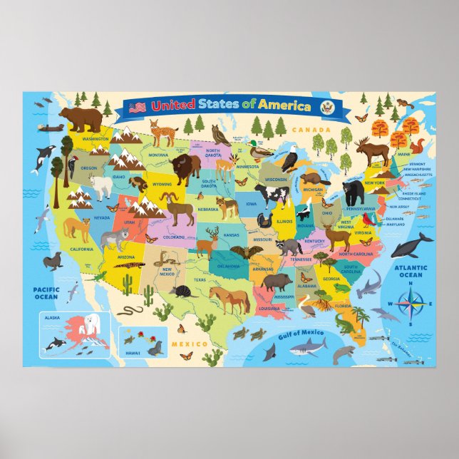 Animaliska amerikanska Karta för barn Poster (Framsidan)