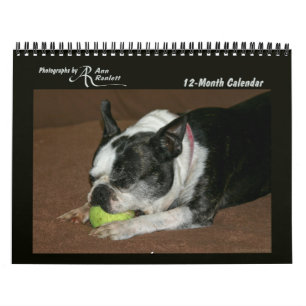 Animaliska foton - 12 månaders kalender