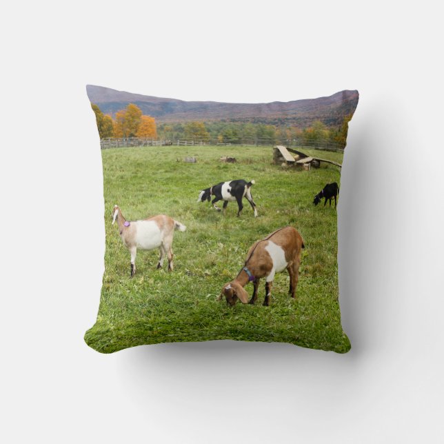 Animaliska getter Pasture Vermont Photo Kudde (Framsida)