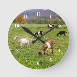 Animaliska getter Pasture Vermont Photo Rund Klocka