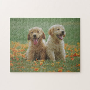 Animaliska puzzon Pic Cute Ledsen Puppy Puppy Pho Pussel