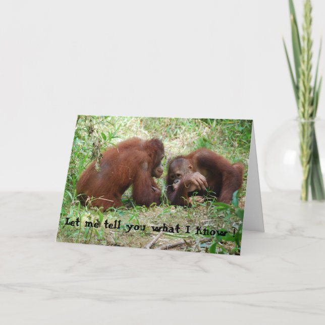 Animaliska tal Hemlig födelsedag #2 Kort (Framsida)