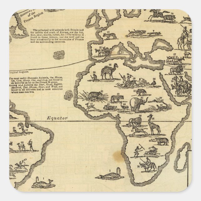 Animaliska världen fyrkantigt klistermärke (Framsida)