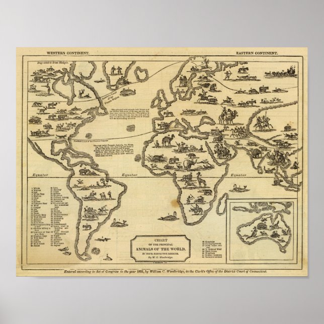 Animaliska världen poster (Framsidan)