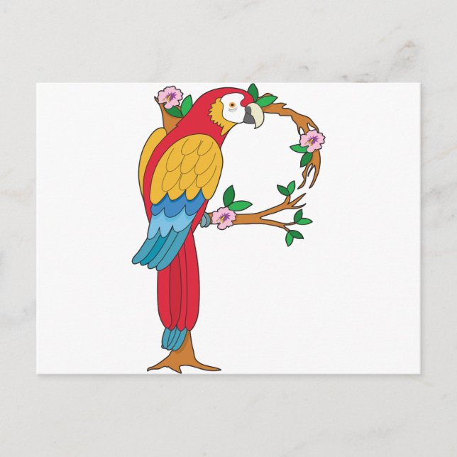 Animaliskt alfabet Parrot Vykort (Framsida)