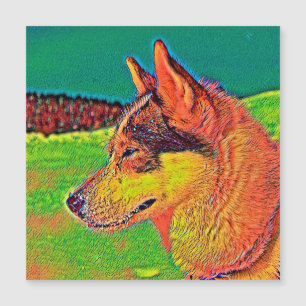 AnimalisktFärg_Hund_039