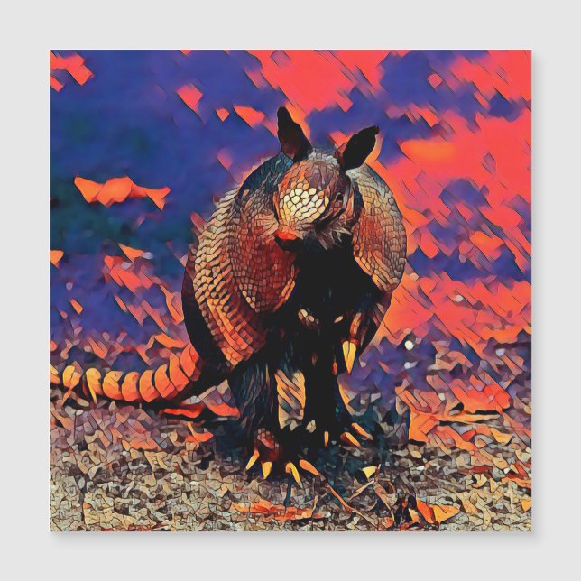AnimalMix_Armadillo_001 (Framsida)