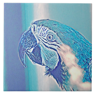 AnimalMix_Bird_009 Kakelplatta