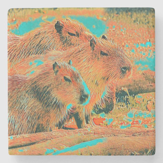 AnimalMix_Capybara_006 Stenunderlägg (Framsidan)