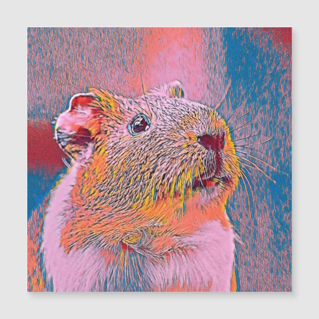 AnimalMix_Guineapig_001 (Framsida)