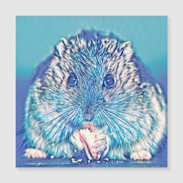 AnimalMix_Hamster_003 (Framsida)