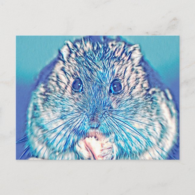 AnimalMix_Hamster_003 Vykort (Framsida)