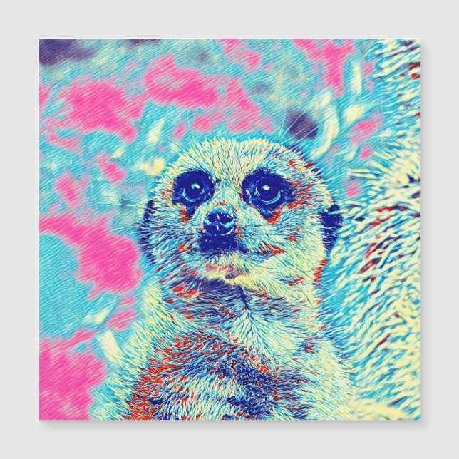 AnimalMix_Meerkat_008 (Framsida)