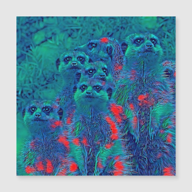 AnimalMix_Meerkat_015 (Framsida)