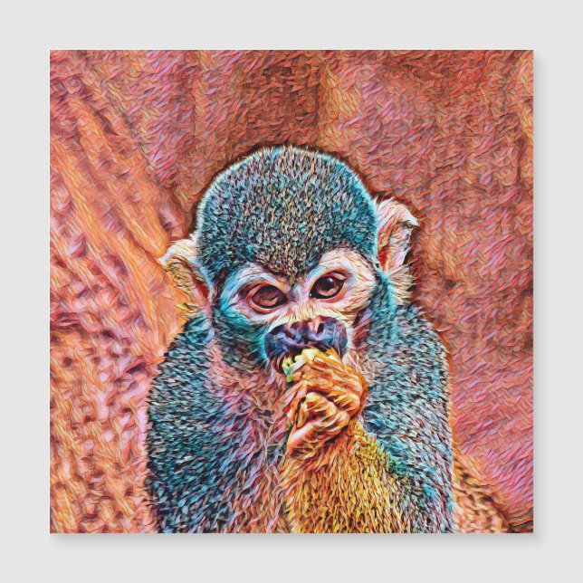 AnimalMix_Monkey_001 (Framsida)