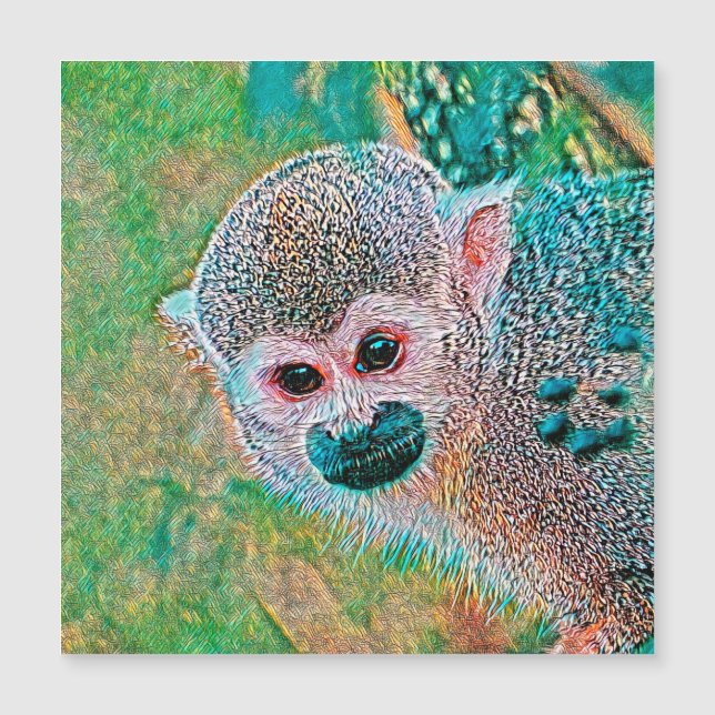 AnimalMix_Monkey_010 (Framsida)
