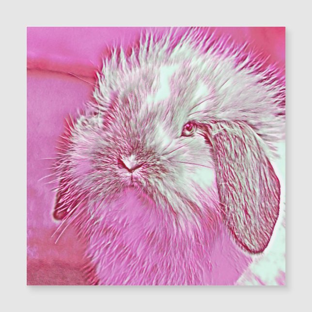 AnimalMix_Rabbit_008 (Framsida)
