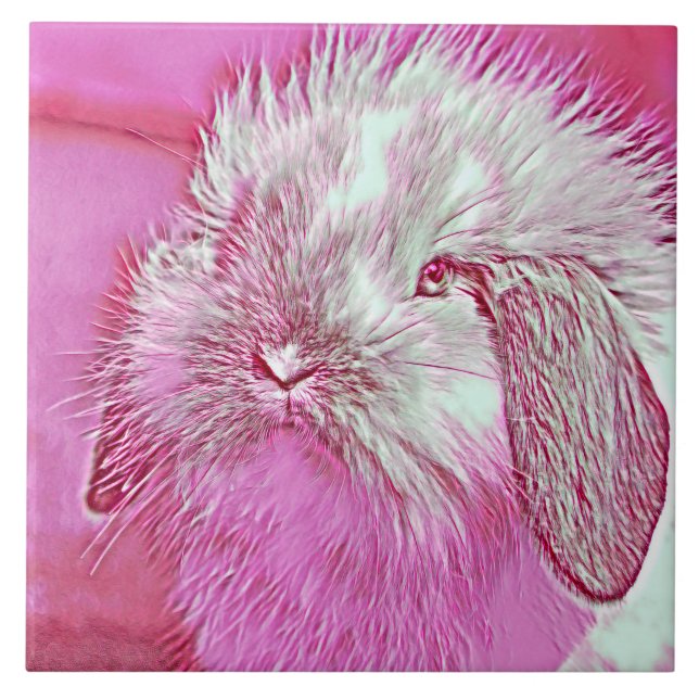 AnimalMix_Rabbit_008 Kakelplatta (Framsidan)