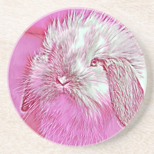 AnimalMix_Rabbit_008 Underlägg (Framsidan)