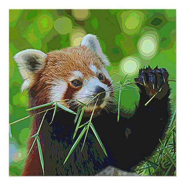 AnimalPaint_RedPanda_20171201_by_JAMColors Fototryck (Framsidan)