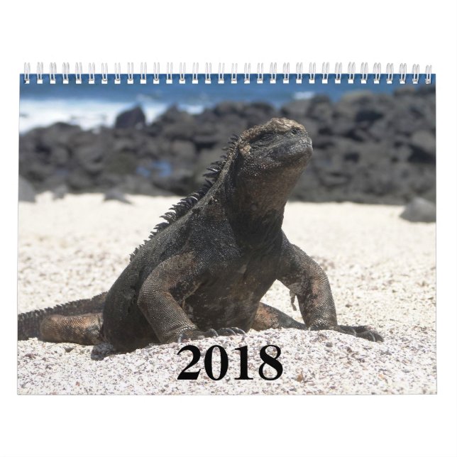 animals and birds of Galapagos Kalender (Omslag)