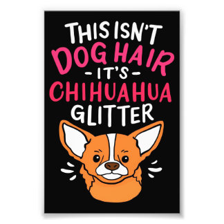 Animals Canvas Wall Art Chihuahua Hund Fototryck