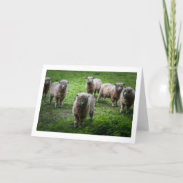 Animals hälsning-kort, tomt inuti. kort