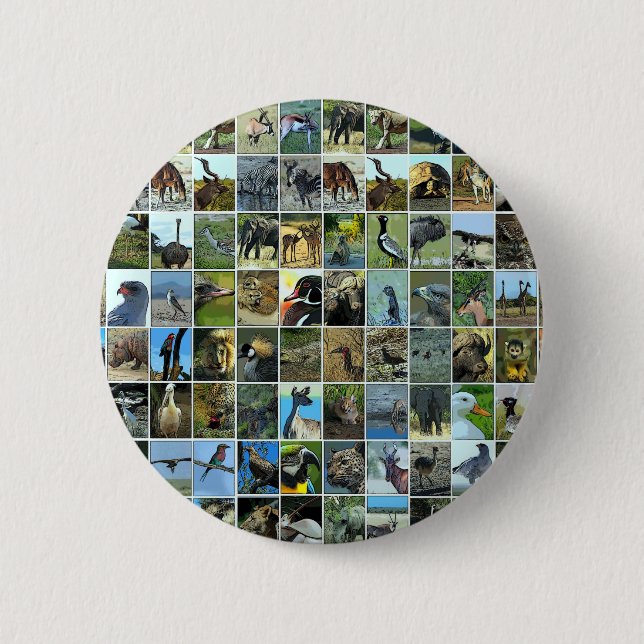Animals of the world knapp (Framsida)