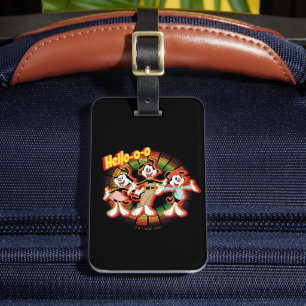 Animaniacs Hej-o-Retro Equalizer Graphic Bagagebricka