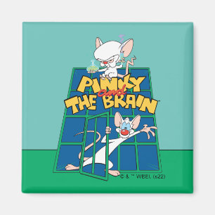 Animaniacs Pinky- och Brain Cage-grafik Magnet