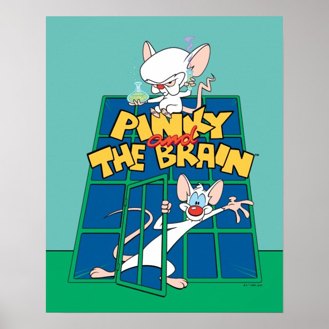 Animaniacs | Pinky- och Brain Cage-grafik Poster (Framsidan)