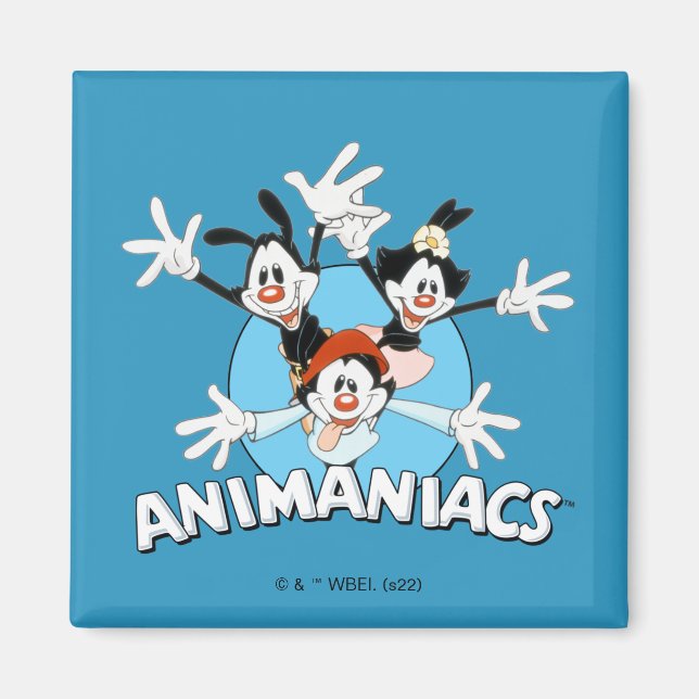 Animaniacs | Warner Syskon Arm Wide Graphic Magnet (Framsidan)