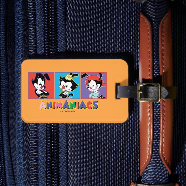Animaniacs | Yakko, Dot, & Wakko Panel Graphic Bagagebricka (Framsida Insitu 4)