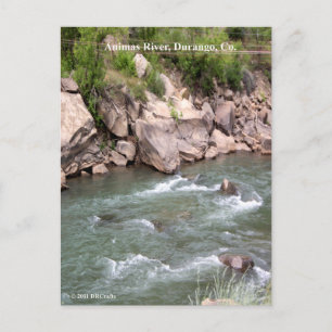 Animas River Rapids Vykort
