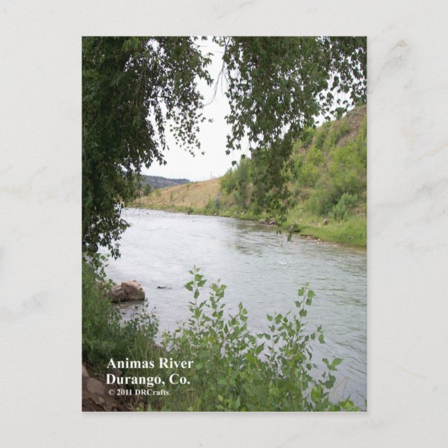 Animas River Vykort (Framsida)