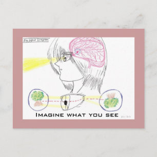 Anime Stil Basic Öga Sight Diagram Vykort