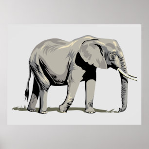 Animerad Elephant Poster