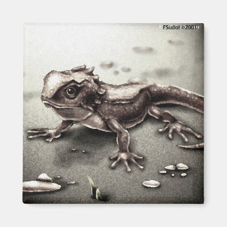 ANIML0017-ödla Magnet