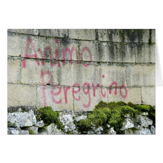 Animo Peregrino kort (Framsidan Horizontal)