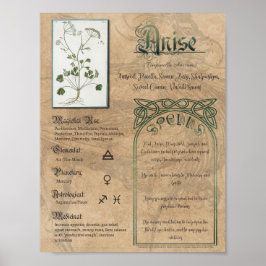 Anise Herbal Bok vid Shadows Pagan Wiccan Poster