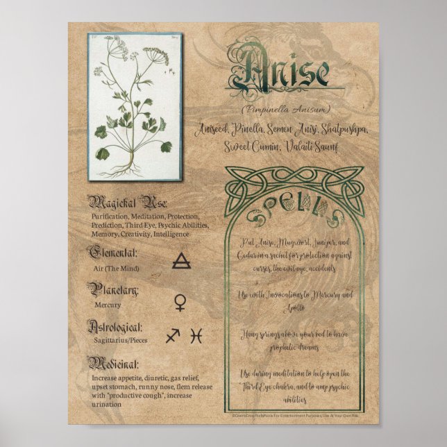 Anise Herbal Bok vid Shadows Pagan Wiccan Poster (Framsidan)