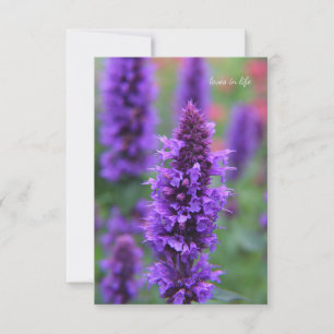 Anise Hyssop-anteckningskort Anteckningskort