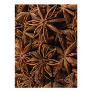 Anise Stars Mönster Fototryck