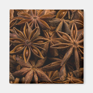 Anise Stars Mönster Magnet