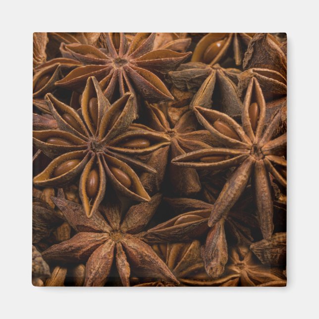 Anise Stars Mönster Magnet (Framsidan)