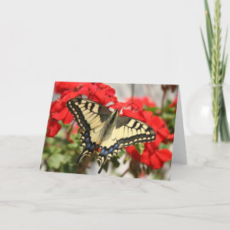 Anise Swallowtail Card Kort