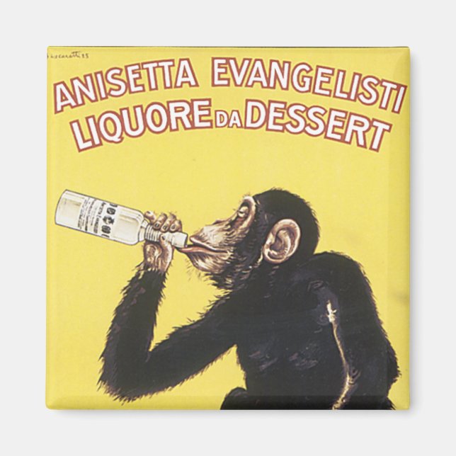 Anisetta Evangelisti Magnet (Framsidan)