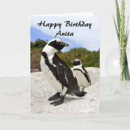 Anita Grattis på födelsedagen African Penguins Hum Kort