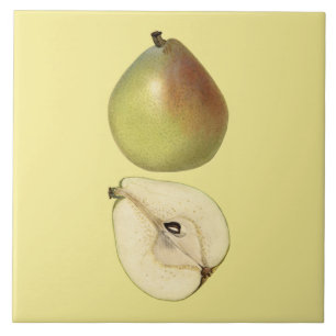 Anjou Pear Botanical Tile ~ Kitchen ~ Valfri Färg Kakelplatta